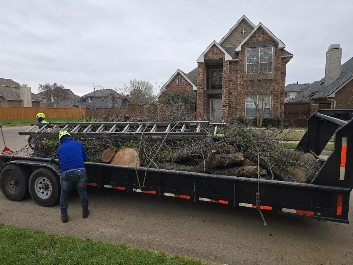 Expert Tree Fertilization with proper safety equipment in Tribes Hill